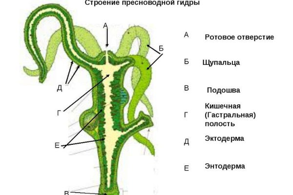 Кракен топ