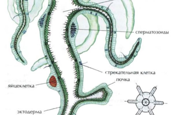 Kra40.cc Вход на сайт главная страница